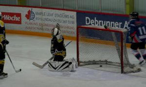 Bild 28 von 59 - Penguins-Indianas