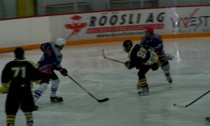 Bild 29 von 59 - Penguins-Indianas