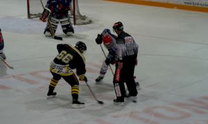 Bild 30 von 59 - Penguins-Indianas