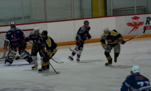 Bild 31 von 59 - Penguins-Indianas