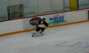 Bild 33 von 59 - Penguins-Indianas