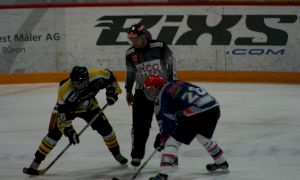 Bild 34 von 59 - Penguins-Indianas