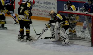 Bild 36 von 59 - Penguins-Indianas