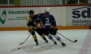 Bild 37 von 59 - Penguins-Indianas