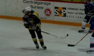 Bild 38 von 59 - Penguins-Indianas