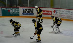 Bild 40 von 59 - Penguins-Indianas