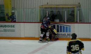 Bild 49 von 59 - Penguins-Indianas