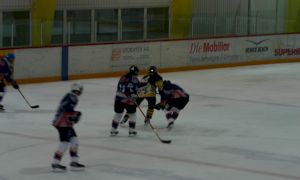 Bild 52 von 59 - Penguins-Indianas
