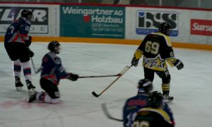 Bild 53 von 59 - Penguins-Indianas