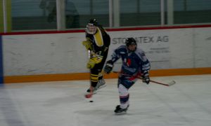 Bild 55 von 59 - Penguins-Indianas