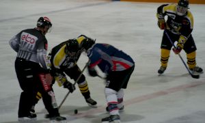 Bild 4 von 59 - Penguins-Indianas