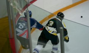 Bild 3 von 59 - Penguins-Indianas