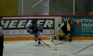 Bild 5 von 59 - Penguins-Indianas