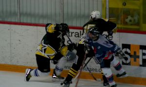 Bild 6 von 59 - Penguins-Indianas