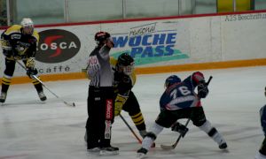 Bild 2 von 59 - Penguins-Indianas