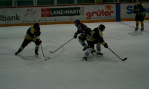 Bild 1 von 59 - Penguins-Indianas