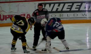 Bild 12 von 59 - Penguins-Indianas