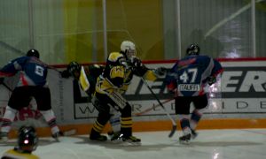 Bild 13 von 59 - Penguins-Indianas