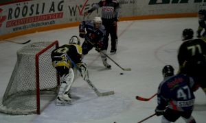 Bild 15 von 59 - Penguins-Indianas
