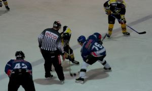 Bild 18 von 59 - Penguins-Indianas