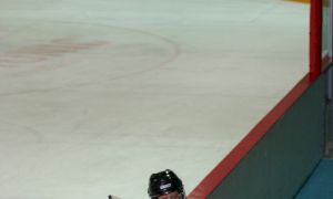 Bild 22 von 59 - Penguins-Indianas