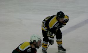 Bild 23 von 59 - Penguins-Indianas