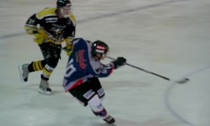 Bild 24 von 59 - Penguins-Indianas