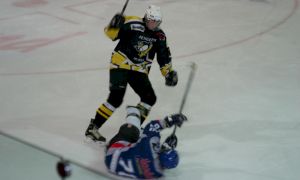 Bild 26 von 59 - Penguins-Indianas