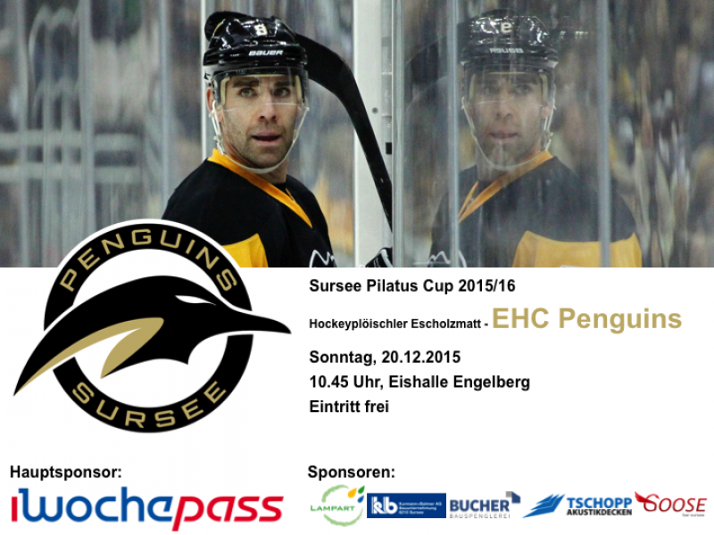 Hockeyplöischler Escholzmatt - EHC Penguins; 20.12.2015 10.45 Uhr Dielsdorf ZH
