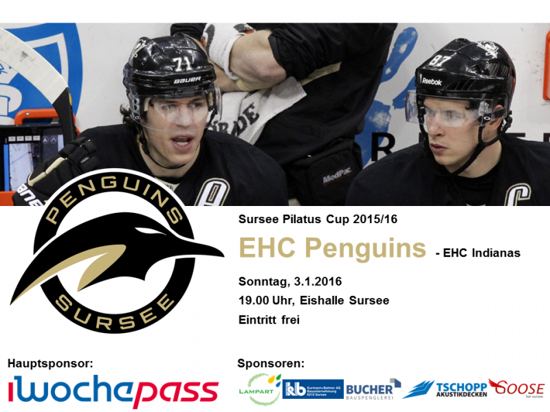EHC Penguins - EHC Indianas; 03.01.2016 19.00 Uhr Eishalle Sursee