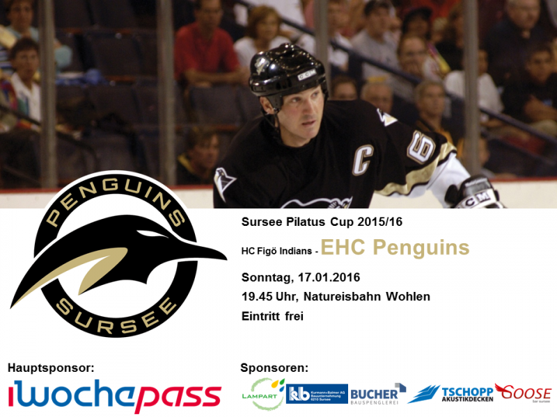 HC Figö Indians - EHC Penguins; 17.01.2016 19.45 Uhr, Natureisbahn Wohlen