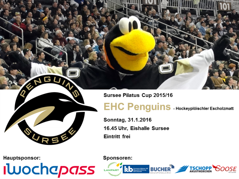 EHC Penguins - Hockeyploischler Escholzmatt; 31.01.2016 16.45 Uhr Eishalle Sursee