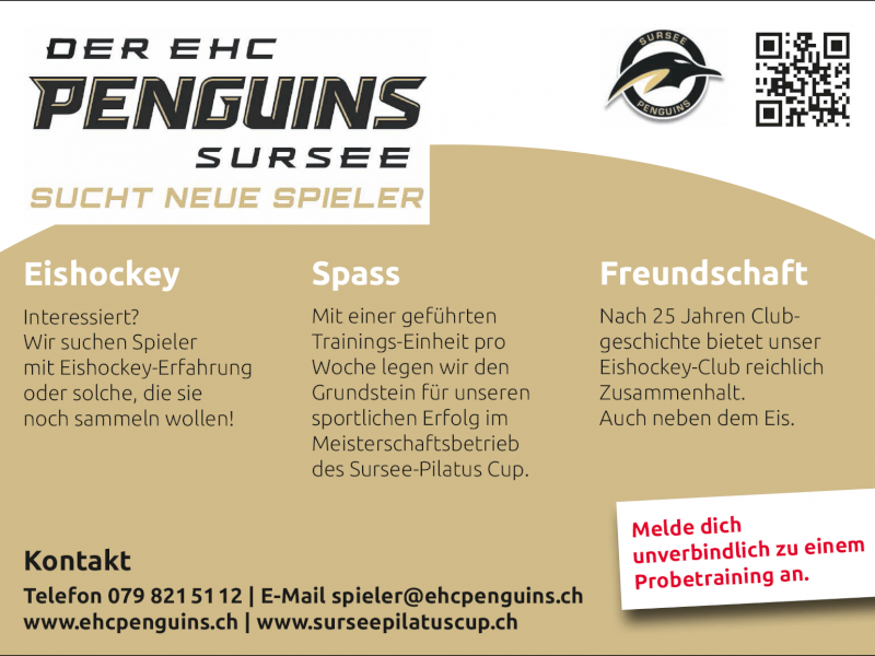 Wir suchen neue Spieler