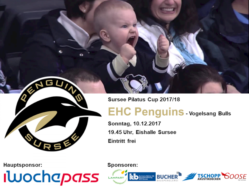 EHC Penguins - Vogelsang Bulls; 10.12.2017 19.45 Uhr, Eishalle Sursee