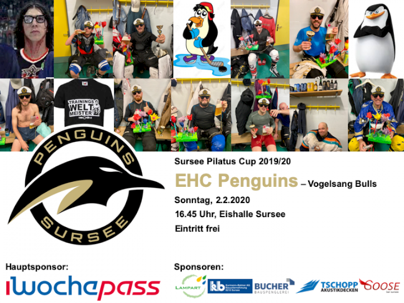 EHC Penguins - Vogelsang Bulls