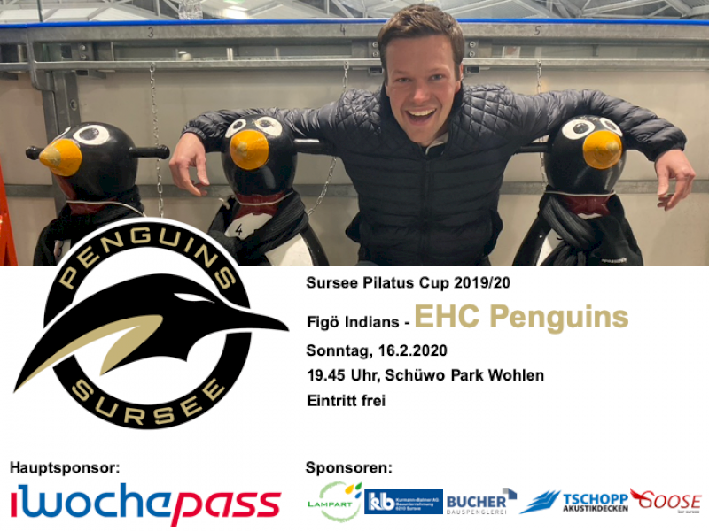 Figö Indians - EHC Penguins; 16.2.2020 19.45 Uhr, Schüwo Park Wohlen