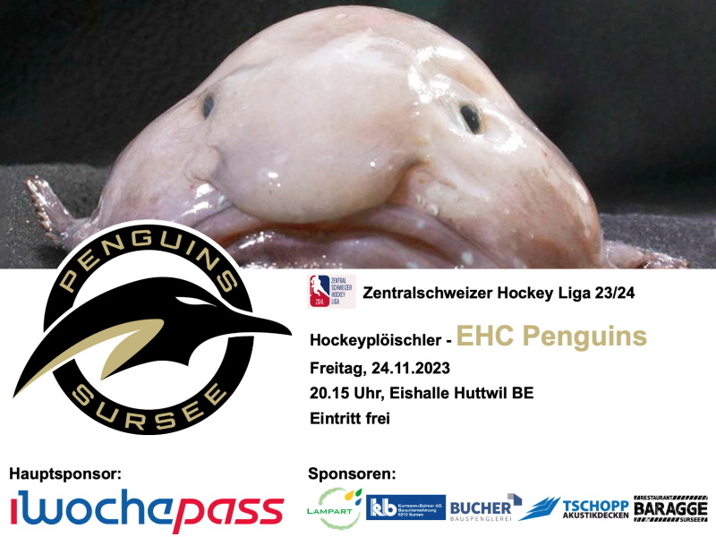Hockeyplöischler Escholzmatt - EHC Penguins, 24.11.2023, Eishalle Huttwil BE