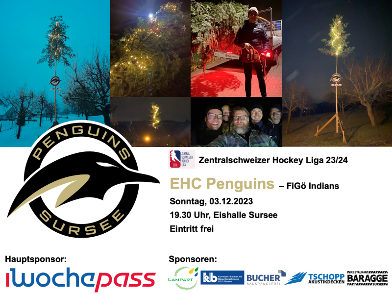 EHC Penguins - FiGö Indians, 03.12.2023, Eishalle Sursee