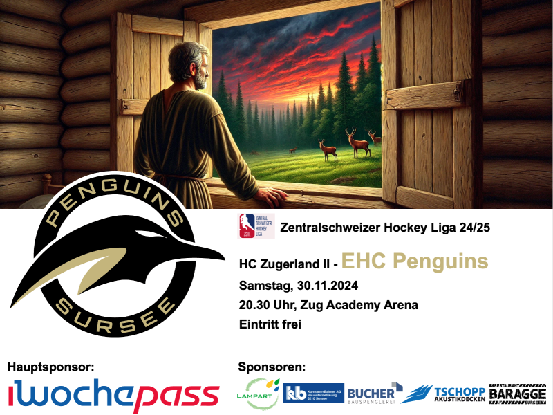 Zugerland II - EHC Penguins, 30.11.2024, Academy Arena Zug