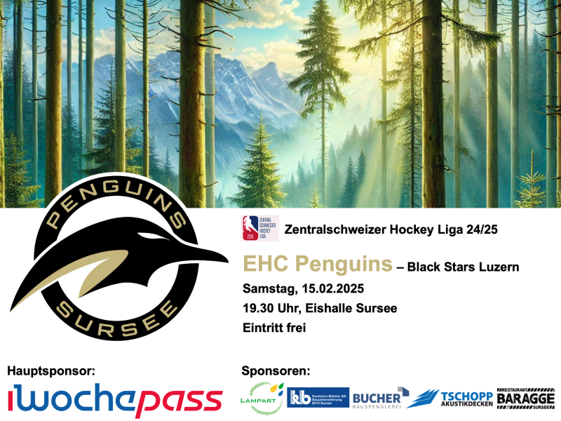 EHC Penguins - Black Stars Luzern, 15.02.2025, Eishalle Sursee
